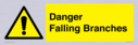 danger-falling-branches~